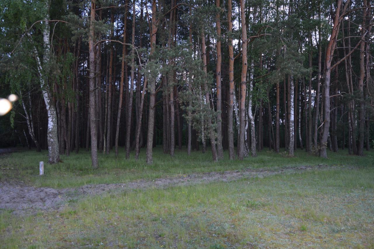 Pulemchanka Pulemets エクステリア 写真